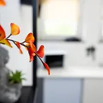 Unique - 2 Bedrooms - Balcony - Kitchen